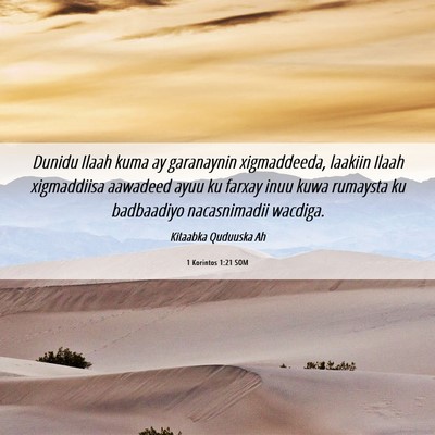 Picture 06 - 1 Korintos 1:21 SOM - Dunidu Ilaah kuma ay garanaynin xigmaddeeda, - Bible Verse Picture