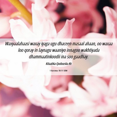 Picture 06 - 1 Korintos 10:11 SOM - Waxyaalahaasi waxay iyaga ugu dhaceen masaal - Bible Verse Picture