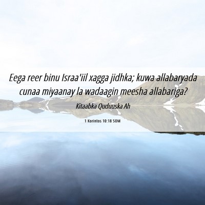 Picture 06 - 1 Korintos 10:18 SOM - Eega reer binu Israa'iil xagga jidhka; kuwa - Bible Verse Picture
