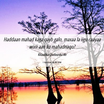 Picture 06 - 1 Korintos 10:30 SOM - Haddaan mahad kaga qayb galo, maxaa la iigu - Bible Verse Picture