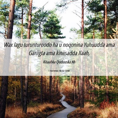 Picture 06 - 1 Korintos 10:32 SOM - Wax lagu turunturoodo ha u noqonina Yuhuudda ama - Bible Verse Picture