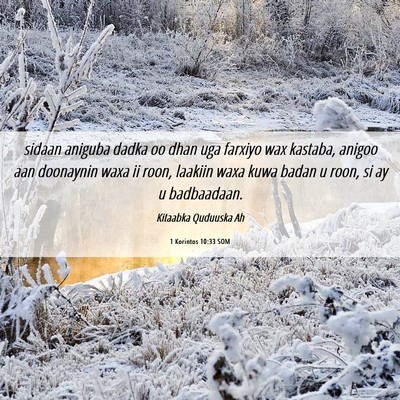Picture 06 - 1 Korintos 10:33 SOM - sidaan aniguba dadka oo dhan uga farxiyo wax - Bible Verse Picture