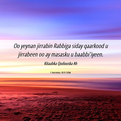 Picture 06 - 1 Korintos 10:9 SOM - Oo yeynan jirrabin Rabbiga siday qaarkood u - Bible Verse Picture