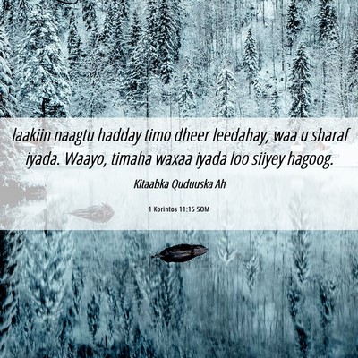 Picture 06 - 1 Korintos 11:15 SOM - laakiin naagtu hadday timo dheer leedahay, waa u - Bible Verse Picture