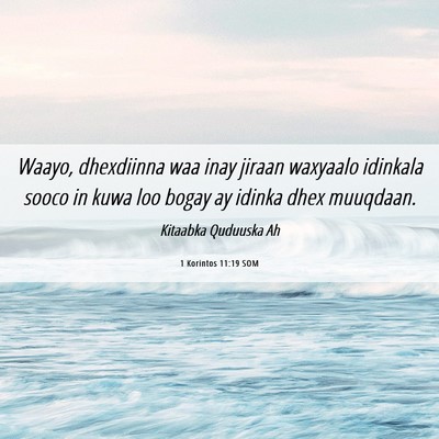 Picture 06 - 1 Korintos 11:19 SOM - Waayo, dhexdiinna waa inay jiraan waxyaalo - Bible Verse Picture