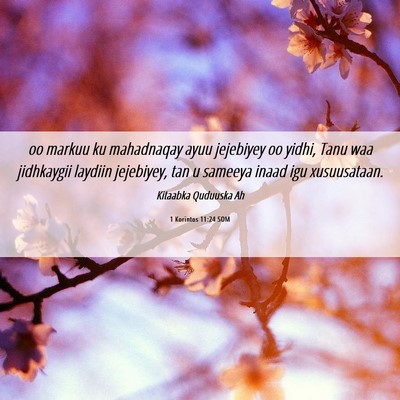 Picture 06 - 1 Korintos 11:24 SOM - oo markuu ku mahadnaqay ayuu jejebiyey oo yidhi, - Bible Verse Picture