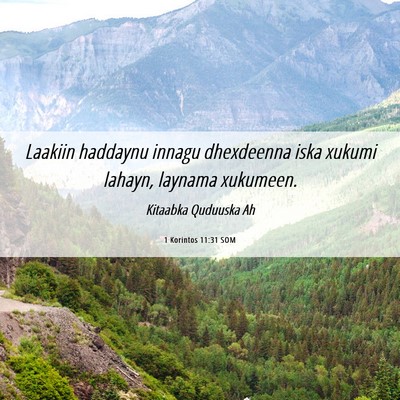 Picture 06 - 1 Korintos 11:31 SOM - Laakiin haddaynu innagu dhexdeenna iska xukumi - Bible Verse Picture