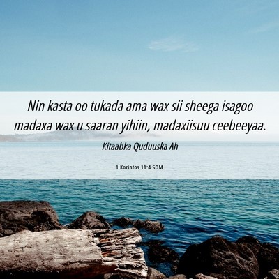 Picture 06 - 1 Korintos 11:4 SOM - Nin kasta oo tukada ama wax sii sheega isagoo - Bible Verse Picture