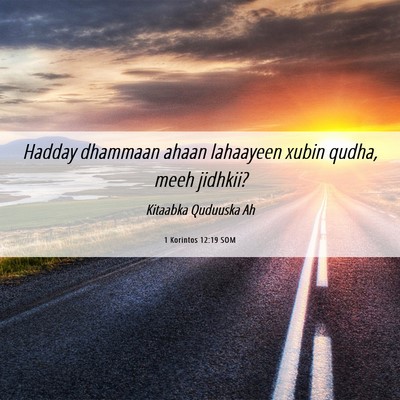 Picture 06 - 1 Korintos 12:19 SOM - Hadday dhammaan ahaan lahaayeen xubin qudha, meeh - Bible Verse Picture
