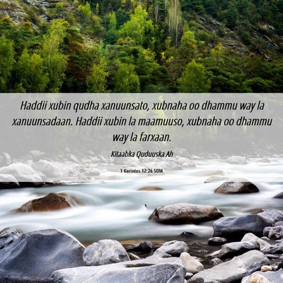 Picture 06 - 1 Korintos 12:26 SOM - Haddii xubin qudha xanuunsato, xubnaha oo dhammu - Bible Verse Picture