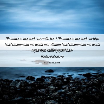 Picture 06 - 1 Korintos 12:29 SOM - Dhammaan ma wada rasuullo baa? Dhammaan ma wada - Bible Verse Picture