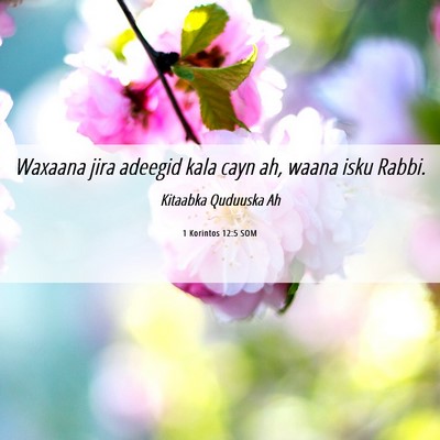 Picture 06 - 1 Korintos 12:5 SOM - Waxaana jira adeegid kala cayn ah, waana isku - Bible Verse Picture