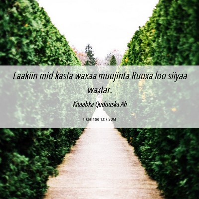 Picture 06 - 1 Korintos 12:7 SOM - Laakiin mid kasta waxaa muujinta Ruuxa loo siiyaa - Bible Verse Picture