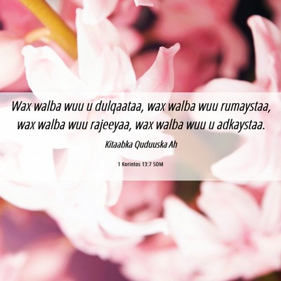 Picture 06 - 1 Korintos 13:7 SOM - Wax walba wuu u dulqaataa, wax walba wuu - Bible Verse Picture