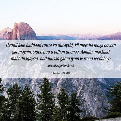 Picture 06 - 1 Korintos 14:16 SOM - Haddii kale haddaad ruuxa ku ducaysid, kii meesha - Bible Verse Picture