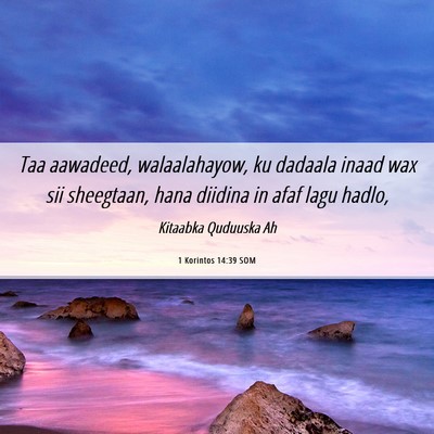 Picture 06 - 1 Korintos 14:39 SOM - Taa aawadeed, walaalahayow, ku dadaala inaad wax - Bible Verse Picture