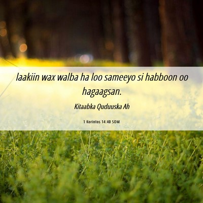 Picture 06 - 1 Korintos 14:40 SOM - laakiin wax walba ha loo sameeyo si habboon oo - Bible Verse Picture