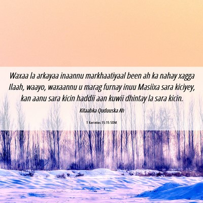 Picture 06 - 1 Korintos 15:15 SOM - Waxaa la arkayaa inaannu markhaatiyaal been ah ka - Bible Verse Picture