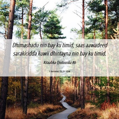 Picture 06 - 1 Korintos 15:21 SOM - Dhimashadu nin bay ku timid, saas aawadeed - Bible Verse Picture