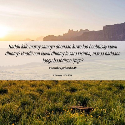 Picture 06 - 1 Korintos 15:29 SOM - Haddii kale maxay samayn doonaan kuwa loo - Bible Verse Picture