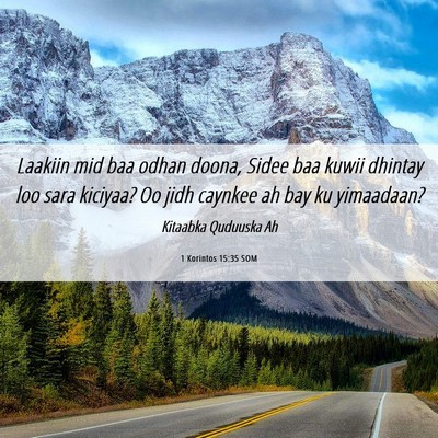 Picture 06 - 1 Korintos 15:35 SOM - Laakiin mid baa odhan doona, Sidee baa kuwii - Bible Verse Picture