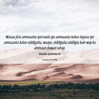 Picture 06 - 1 Korintos 15:41 SOM - Waxaa jirta ammaanta qorraxda iyo ammaanta kaloo - Bible Verse Picture