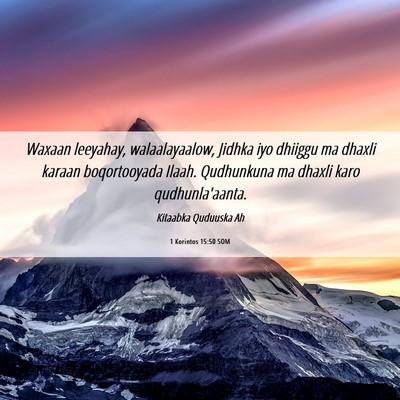 Picture 06 - 1 Korintos 15:50 SOM - Waxaan leeyahay, walaalayaalow, Jidhka iyo - Bible Verse Picture