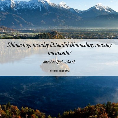 Picture 06 - 1 Korintos 15:55 SOM - Dhimashoy, meeday libtaadii? Dhimashoy, meeday - Bible Verse Picture