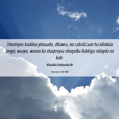 Picture 06 - 1 Korintos 16:10 SOM - Timoteyos hadduu yimaado, dhawra, oo cabsila'aan - Bible Verse Picture