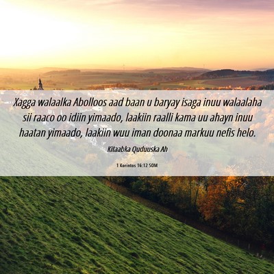Picture 06 - 1 Korintos 16:12 SOM - Xagga walaalka Abolloos aad baan u baryay isaga - Bible Verse Picture