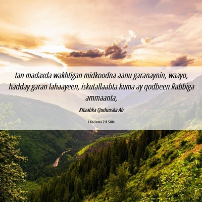 Picture 06 - 1 Korintos 2:8 SOM - tan madaxda wakhtigan midkoodna aanu garanaynin, - Bible Verse Picture
