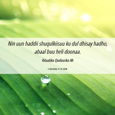Picture 06 - 1 Korintos 3:14 SOM - Nin uun haddii shuqulkiisuu ku dul dhisay hadho, - Bible Verse Picture