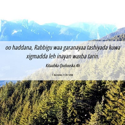Picture 06 - 1 Korintos 3:20 SOM - oo haddana, Rabbigu waa garanayaa tashiyada kuwa - Bible Verse Picture