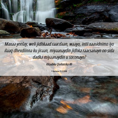Picture 06 - 1 Korintos 3:3 SOM - Maxaa yeelay, weli jidhkaad raacdaan, waayo, - Bible Verse Picture