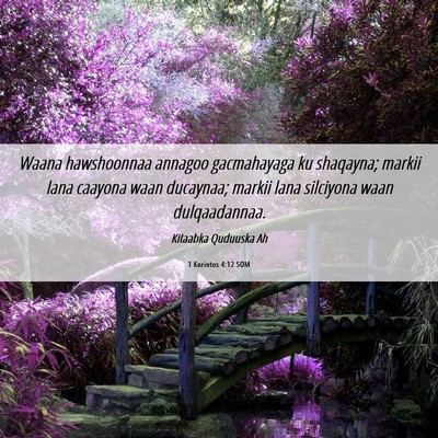 Picture 06 - 1 Korintos 4:12 SOM - Waana hawshoonnaa annagoo gacmahayaga ku - Bible Verse Picture