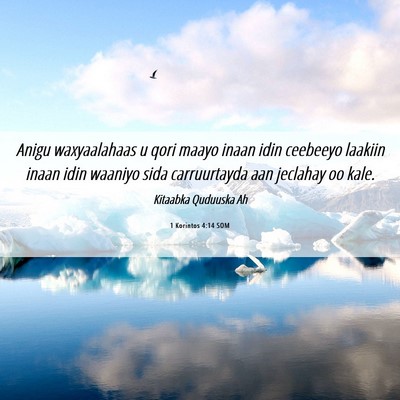 Picture 06 - 1 Korintos 4:14 SOM - Anigu waxyaalahaas u qori maayo inaan idin - Bible Verse Picture