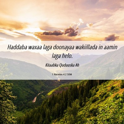 Picture 06 - 1 Korintos 4:2 SOM - Haddaba waxaa laga doonayaa wakiillada in aamin - Bible Verse Picture