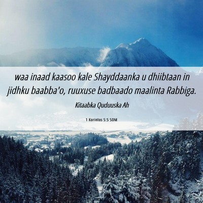 Picture 06 - 1 Korintos 5:5 SOM - waa inaad kaasoo kale Shayddaanka u dhiibtaan in - Bible Verse Picture