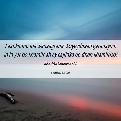 Picture 06 - 1 Korintos 5:6 SOM - Faankiinnu ma wanaagsana. Miyeydnaan garanaynin - Bible Verse Picture