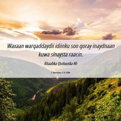 Picture 06 - 1 Korintos 5:9 SOM - Waxaan warqaddaydii idiinku soo qoray inaydnaan - Bible Verse Picture