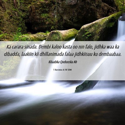 Picture 06 - 1 Korintos 6:18 SOM - Ka carara sinada. Dembi kaloo kasta oo nin falo, - Bible Verse Picture