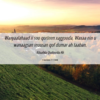 Picture 06 - 1 Korintos 7:1 SOM - Waxyaalahaad ii soo qorteen xaggooda, Waxaa nin u - Bible Verse Picture