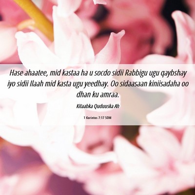 Picture 06 - 1 Korintos 7:17 SOM - Hase ahaatee, mid kastaa ha u socdo sidii Rabbigu - Bible Verse Picture