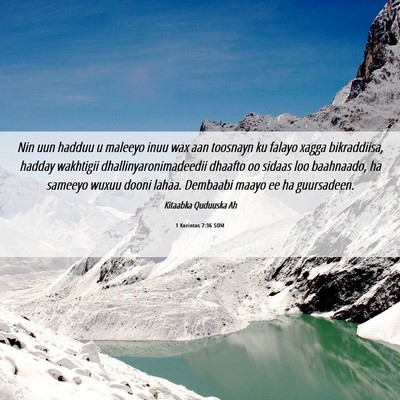 Picture 06 - 1 Korintos 7:36 SOM - Nin uun hadduu u maleeyo inuu wax aan toosnayn ku - Bible Verse Picture