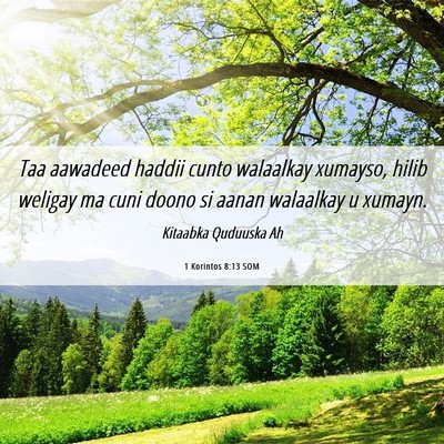 Picture 06 - 1 Korintos 8:13 SOM - Taa aawadeed haddii cunto walaalkay xumayso, - Bible Verse Picture