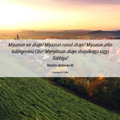 Picture 06 - 1 Korintos 9:1 SOM - Miyaanan xor ahayn? Miyaanan rasuul ahayn? - Bible Verse Picture