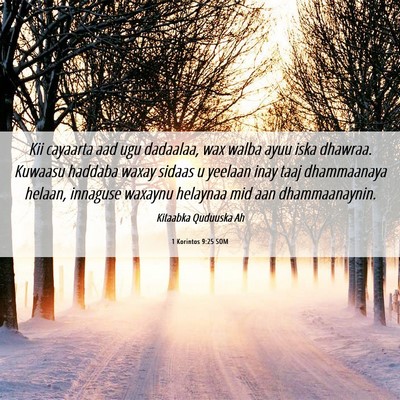 Picture 06 - 1 Korintos 9:25 SOM - Kii cayaarta aad ugu dadaalaa, wax walba ayuu - Bible Verse Picture