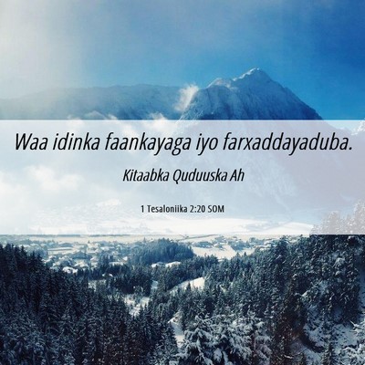 Picture 06 - 1 Tesaloniika 2:20 SOM - Waa idinka faankayaga iyo - Bible Verse Picture
