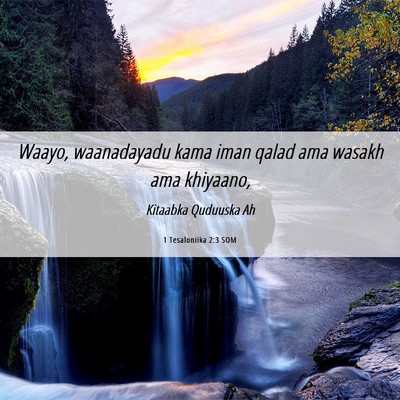 Picture 06 - 1 Tesaloniika 2:3 SOM - Waayo, waanadayadu kama iman qalad ama wasakh ama - Bible Verse Picture