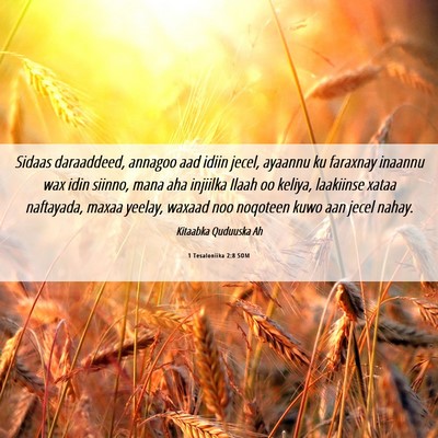 Picture 06 - 1 Tesaloniika 2:8 SOM - Sidaas daraaddeed, annagoo aad idiin jecel, - Bible Verse Picture